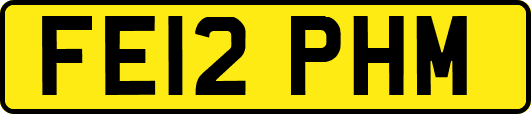 FE12PHM