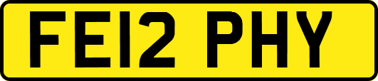 FE12PHY