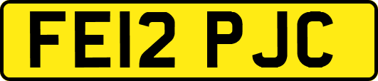 FE12PJC