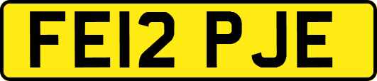 FE12PJE