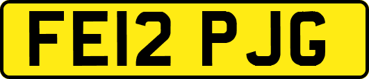 FE12PJG