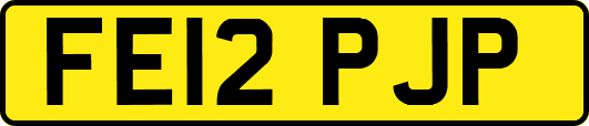 FE12PJP