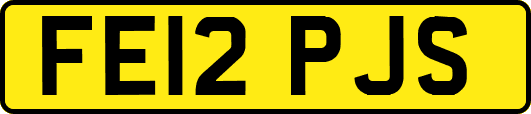 FE12PJS