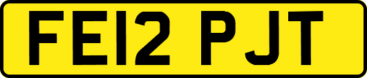 FE12PJT