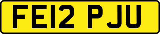FE12PJU