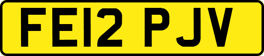 FE12PJV