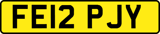 FE12PJY