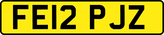FE12PJZ