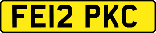 FE12PKC