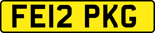 FE12PKG