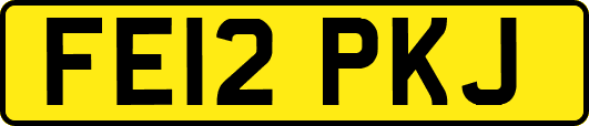FE12PKJ