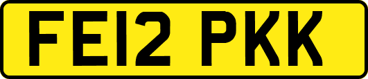 FE12PKK