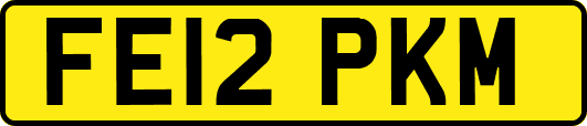 FE12PKM