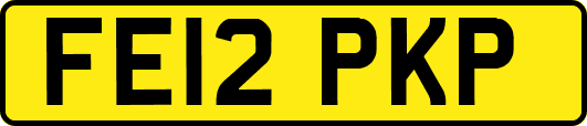FE12PKP