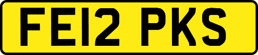 FE12PKS