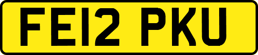 FE12PKU