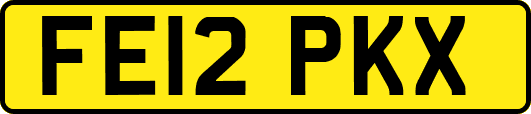 FE12PKX