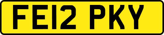 FE12PKY