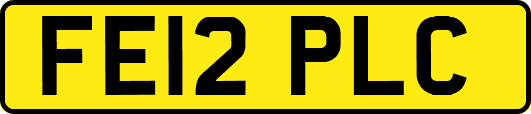 FE12PLC