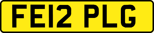 FE12PLG