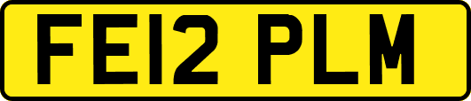 FE12PLM