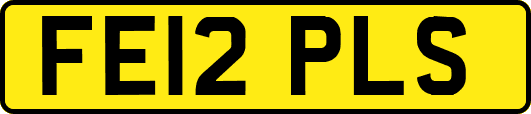 FE12PLS