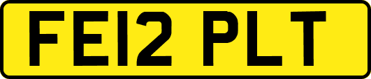 FE12PLT