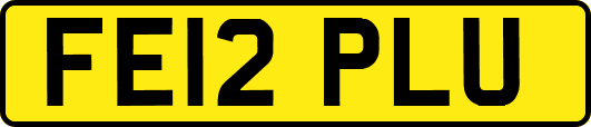 FE12PLU