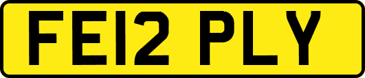 FE12PLY
