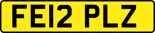 FE12PLZ