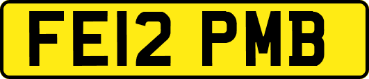 FE12PMB