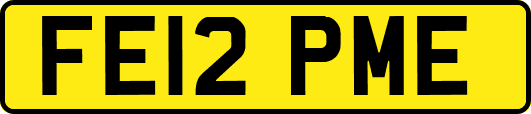 FE12PME