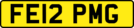 FE12PMG