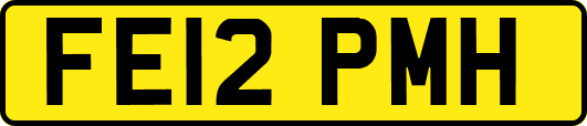 FE12PMH