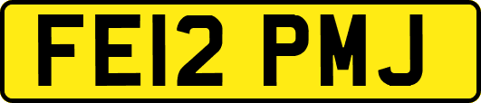 FE12PMJ