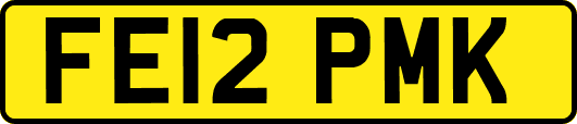 FE12PMK