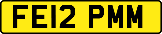 FE12PMM