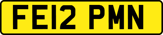 FE12PMN
