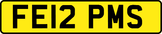 FE12PMS