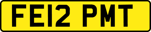 FE12PMT