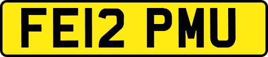 FE12PMU