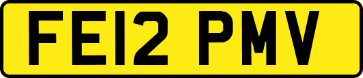 FE12PMV