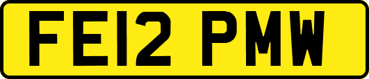 FE12PMW