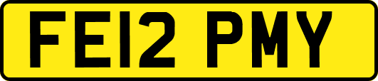 FE12PMY