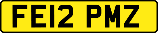 FE12PMZ