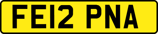 FE12PNA