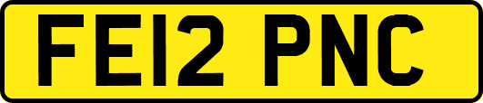 FE12PNC