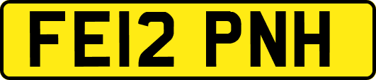 FE12PNH