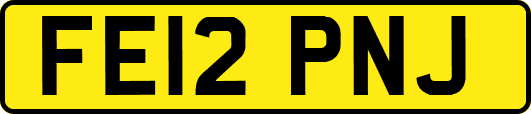 FE12PNJ
