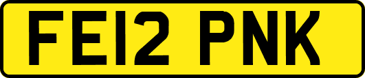 FE12PNK